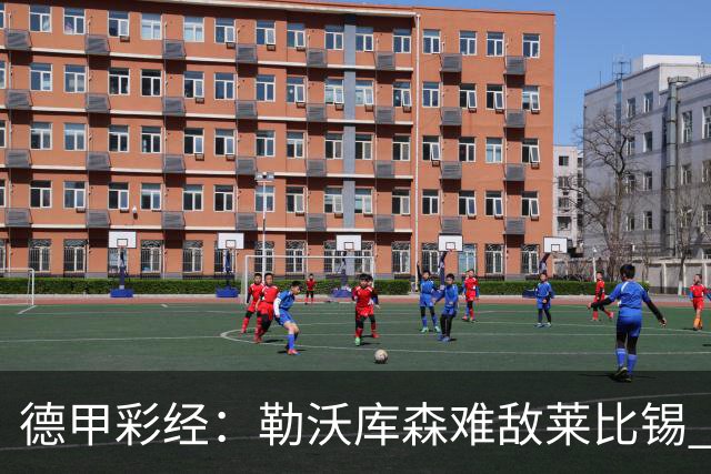 德甲彩经：勒沃库森难敌莱比锡 霍芬海姆客场失分